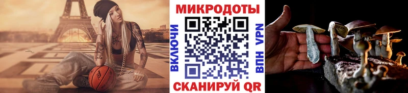 Галлюциногенные грибы ЛСД Тихвин